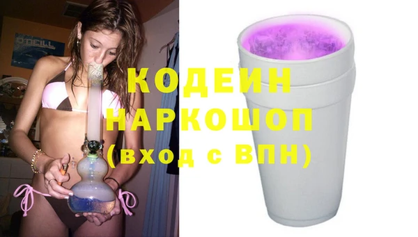 шишки Белокуриха